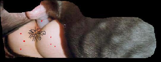 meurabo.jpg (16527 bytes)